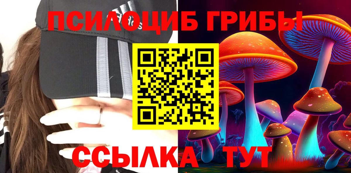 Псилоцибиновые грибы ЛСД  Вход с VPN  Мичуринск  Галлюциногенные грибы ЛСД 